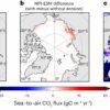 Arctic Ocean may absorb less CO₂ than projected due to coastal erosion