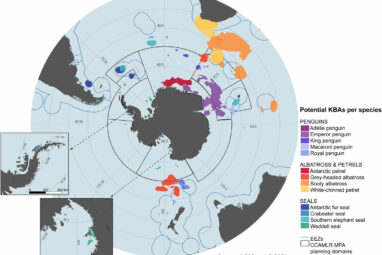 As human activities expand in Antarctica, scientists identify ...