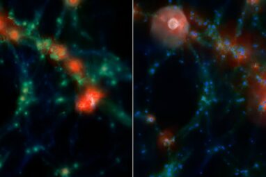 Astronomers find galaxies in denser environments are as much as 25 ...