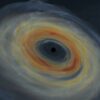 Astrophysical simulations predict new detectable gravitational ...