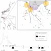 Blowflies found to carry bird flu virus