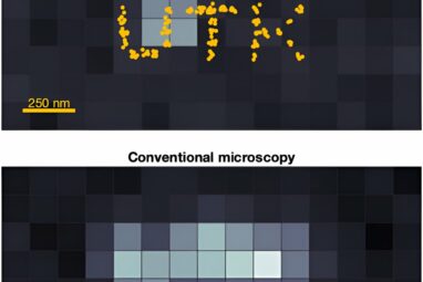 BNP-Track algorithm offers a clearer picture of biomolecules in motion