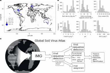 Comprehensive, first-ever soil virus dataset represents untapped ...