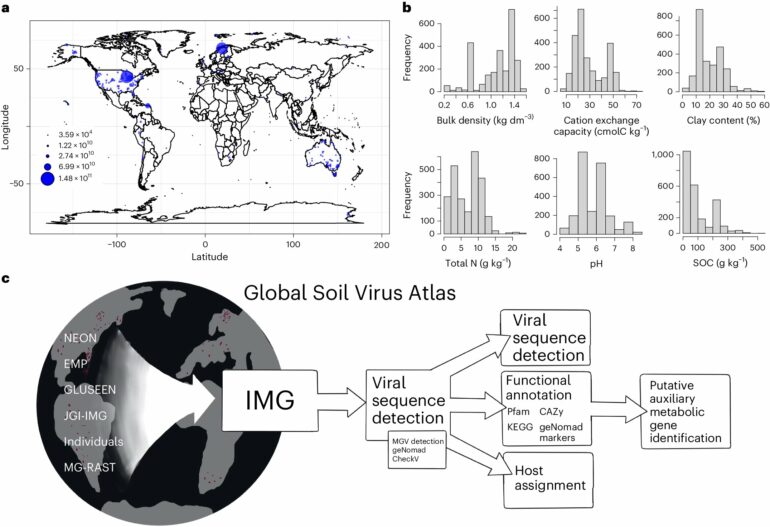 Comprehensive, first-ever soil virus dataset represents untapped ...