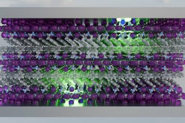 Coupling excitons to polaritons for better solar cells and higher ...