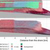 Darwin's fear was unjustified: Study suggests fossil record gaps ...