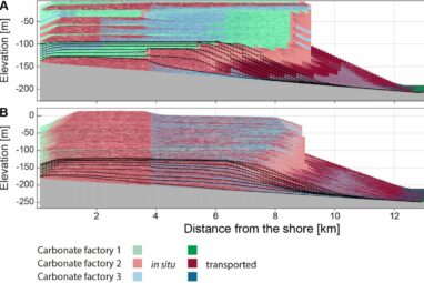 Darwin's fear was unjustified: Study suggests fossil record gaps ...