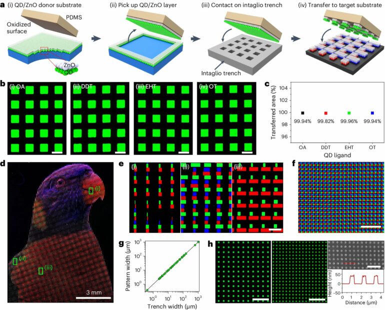 Developing innovative new display technologies to create ultrahigh ...