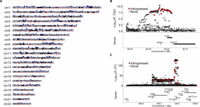 DNA study challenges thinking on ancestry of people in Japan