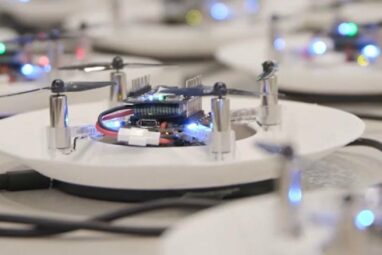 Dutch turn to birds and bees to inspire drone swarm research