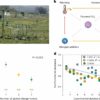 Ecosystems study finds the higher the environmental stress, the ...