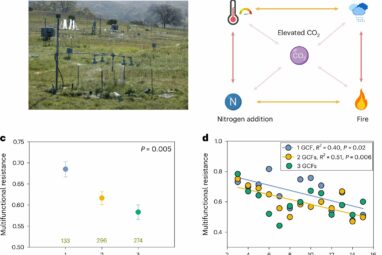 Ecosystems study finds the higher the environmental stress, the ...