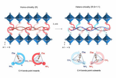 Engineers enhance perovskite solar cells durability with first-of ...