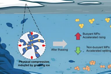 Getting trapped in freshwater ice changes microplastics' sink-or ...