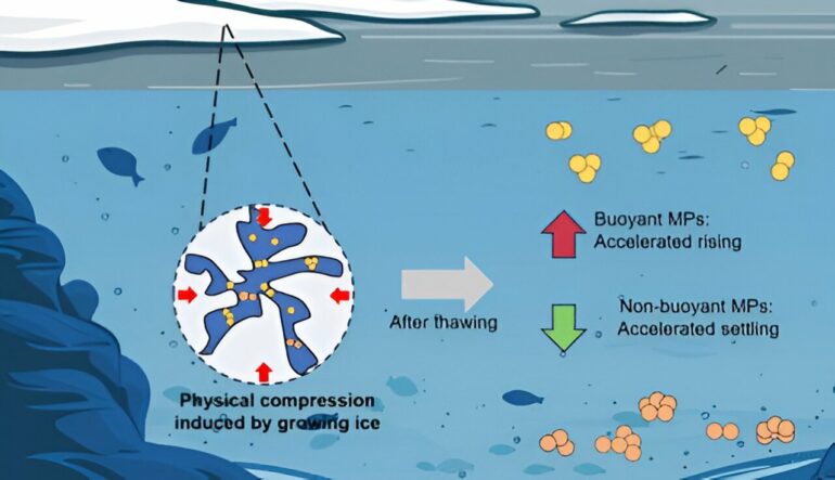 Getting trapped in freshwater ice changes microplastics' sink-or ...