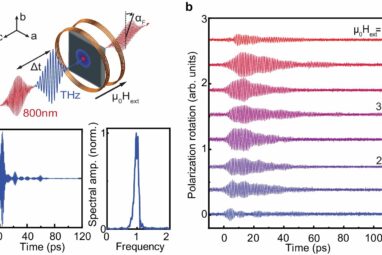 Hidden harmonies: Team discovers magnon–phonon Fermi resonance in ...