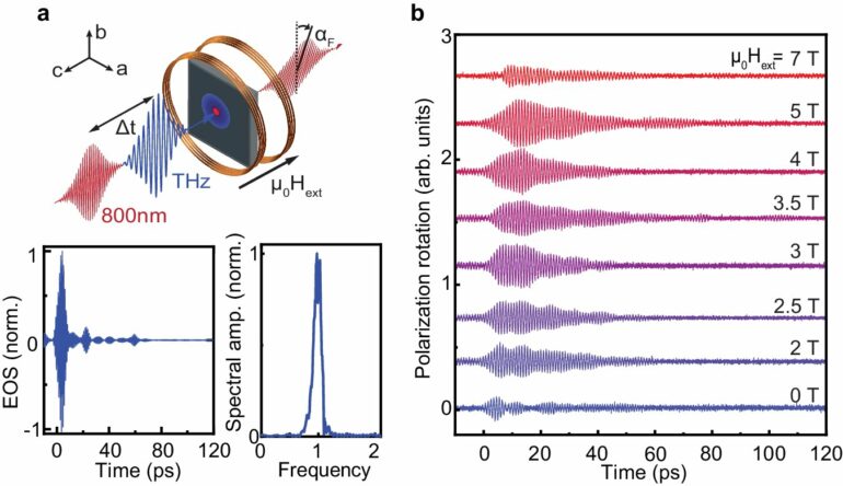 Hidden harmonies: Team discovers magnon–phonon Fermi resonance in ...