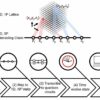 Higher-order topological simulation unlocks new potential in ...