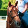 Horse miscarriages offer clues to causes of early human pregnancy loss