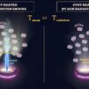 JWST unveils the structure of dust near a supermassive black hole