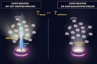 JWST unveils the structure of dust near a supermassive black hole