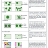 Sustainability | Free Full-Text | Spatial Analysis of the Drivers ...