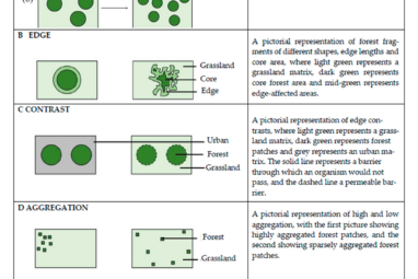 Sustainability | Free Full-Text | Spatial Analysis of the Drivers ...