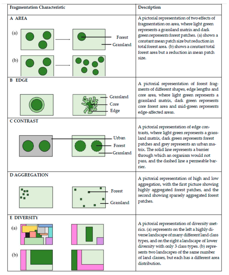 Sustainability | Free Full-Text | Spatial Analysis of the Drivers ...