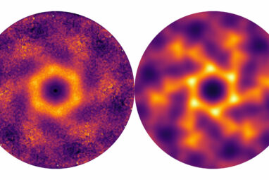 Langbeinites show talents as 3D quantum spin liquids