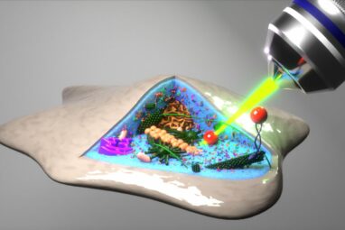 Laser view' into the avocado: New method reveals cell interior