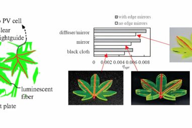 Leaf-like solar concentrators promise major boost in solar efficiency