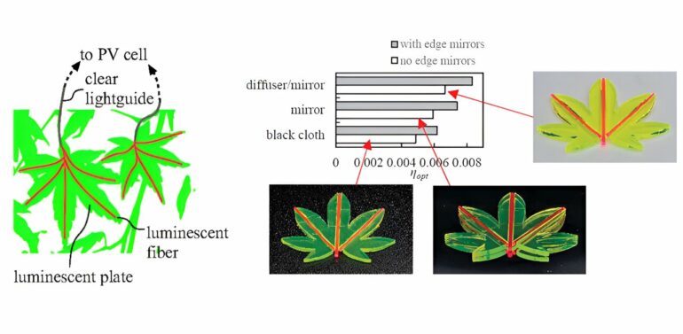 Leaf-like solar concentrators promise major boost in solar efficiency