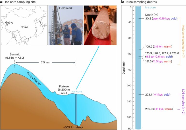 Locked in a glacier: Virus adaptations to extreme weather provide ...