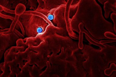 Menopause increases your risk of STIs due to how aging changes ...