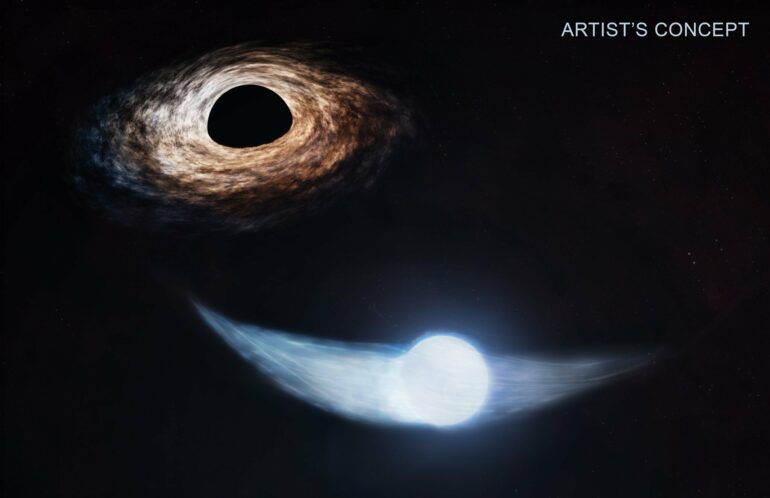 NASA telescopes work out black hole's feeding schedule