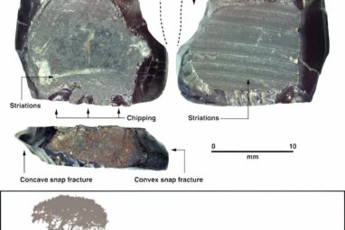 New evidence from West Papua offers fresh clues about how and when ...