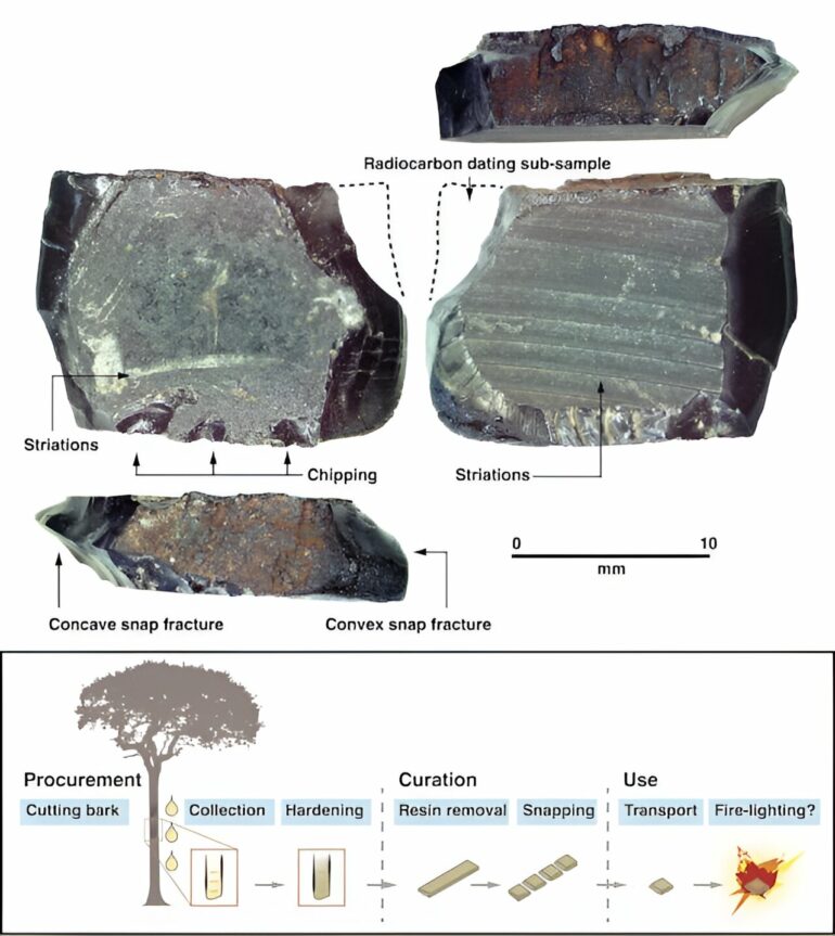 New evidence from West Papua offers fresh clues about how and when ...