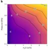 New model refutes leading theory on how Earth's continents formed