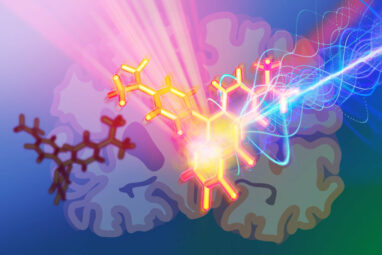 New photoacoustic probes enable deep brain tissue imaging, with ...