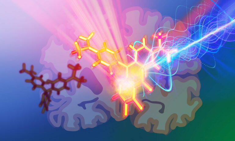 New photoacoustic probes enable deep brain tissue imaging, with ...