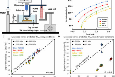 New research challenges conventional wisdom on wet surface adhesion