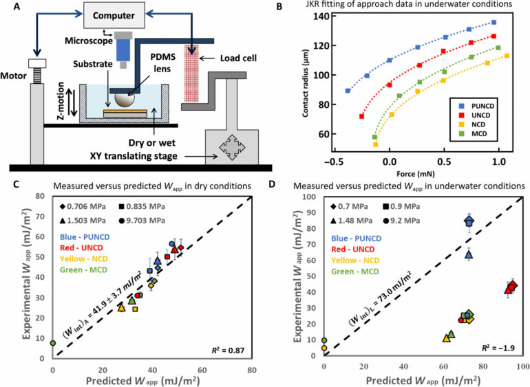 New research challenges conventional wisdom on wet surface adhesion