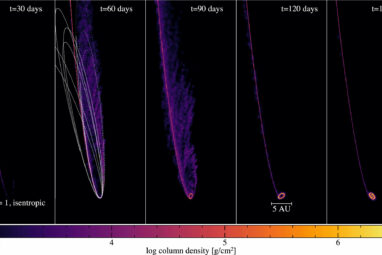 New simulations shed light on stellar destruction by supermassive ...