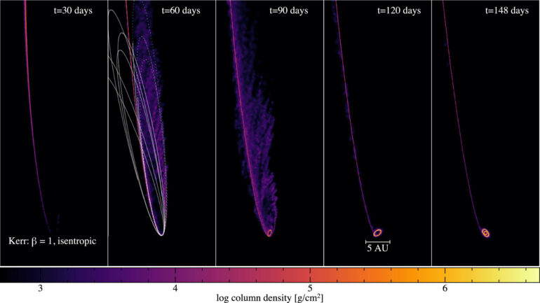 New simulations shed light on stellar destruction by supermassive ...