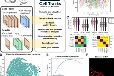 New tool simplifies cell tracking data analysis