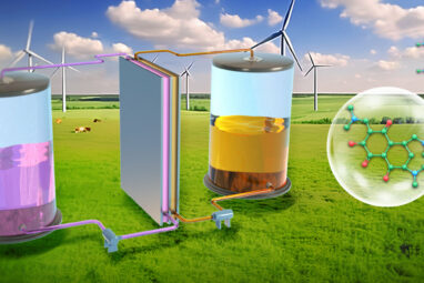 Novel organic redox-active molecules for flow batteries show ...