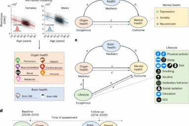 Pathways linking body and brain health and impacts to mental ...