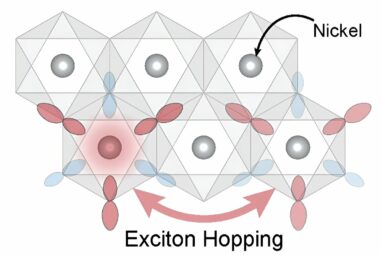 Physicists report new insights into exotic particles key to magnetism