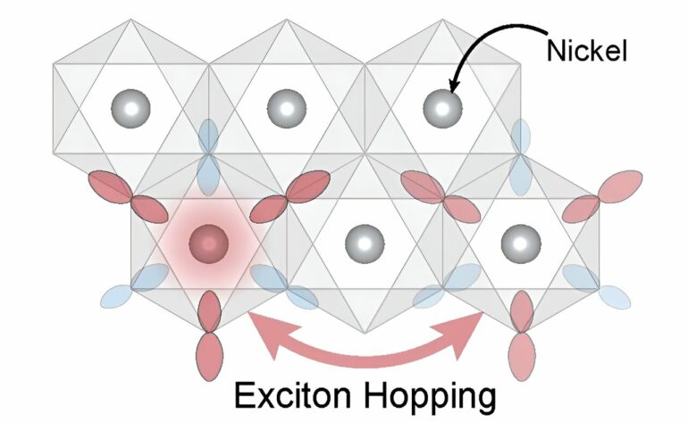 Physicists report new insights into exotic particles key to magnetism