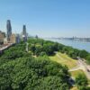 Planting some tree species may worsen, not improve, NYC air, says ...